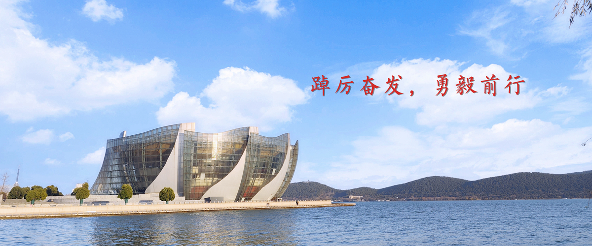 踔厉奋发，勇毅前行